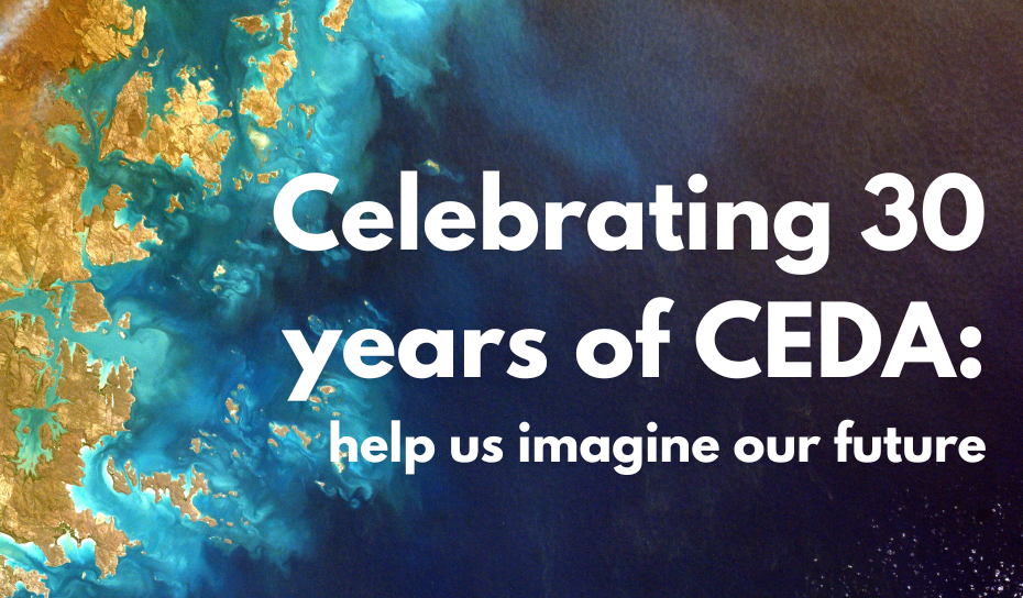 Image showing the text: Celebrating 30 years of CEDA: help us imagine our future